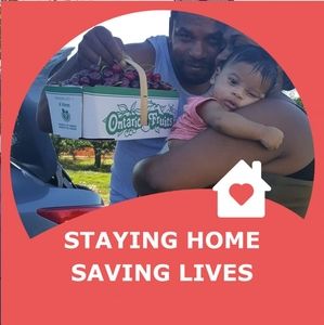 Meet your Posher, Albert